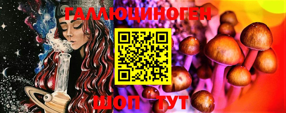 Псилоцибиновые грибы Magic Shrooms Ессентуки